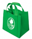 non woven shopping bag